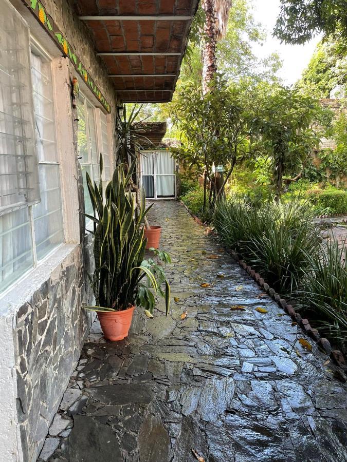 La Casa De Los Mangos Ajijic San Antonio Tlayacapan Экстерьер фото