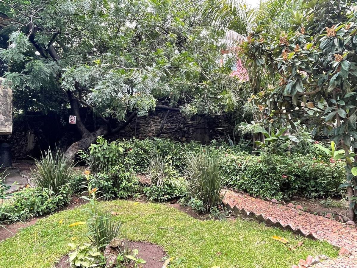 La Casa De Los Mangos Ajijic San Antonio Tlayacapan Экстерьер фото