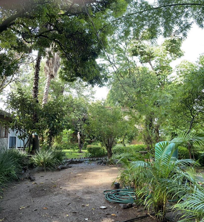 La Casa De Los Mangos Ajijic San Antonio Tlayacapan Экстерьер фото