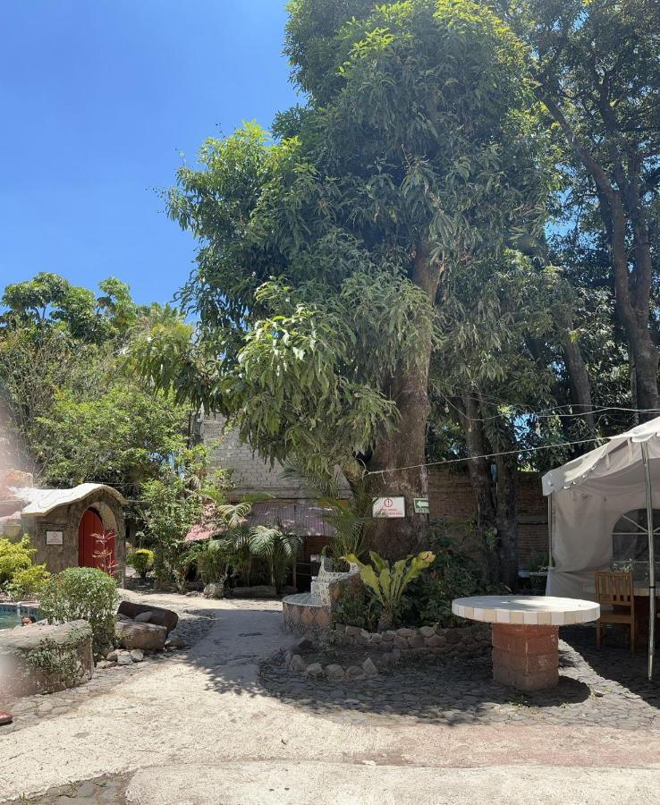 La Casa De Los Mangos Ajijic San Antonio Tlayacapan Экстерьер фото